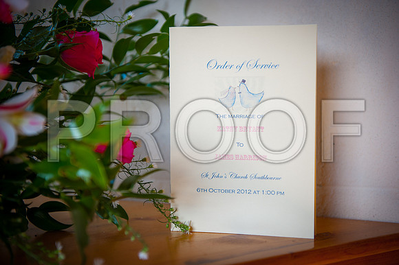 Harrison wed_079