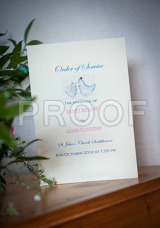 Harrison wed_082