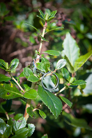 Harrison wed_097