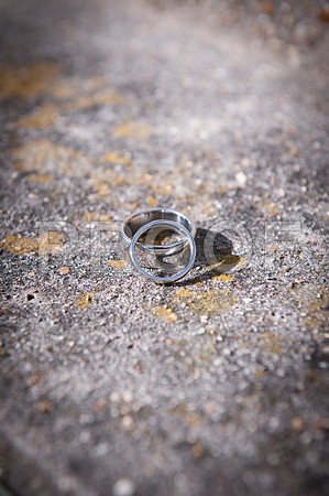 Harrison wed_098