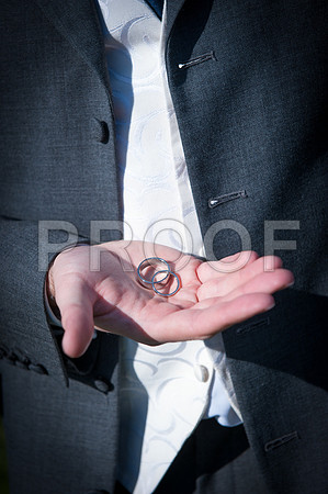 Harrison wed_101