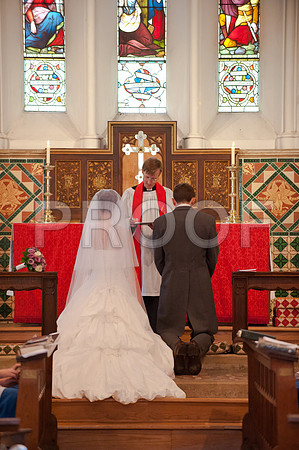 Stygall wed_261