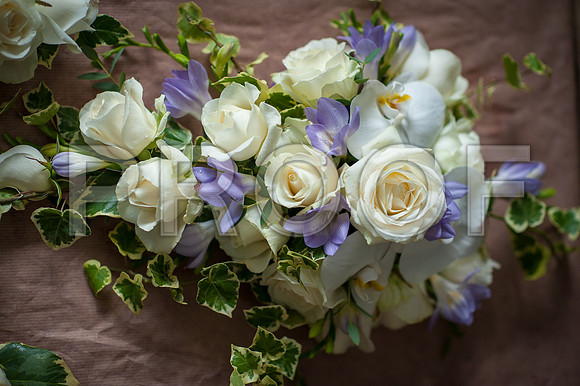 Bailey wed_004