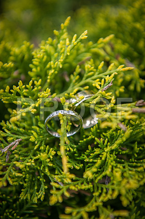 Neudegg wed_0235