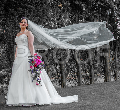 Reynolds wed_244-2
