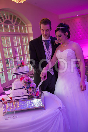 Reynolds wed_544