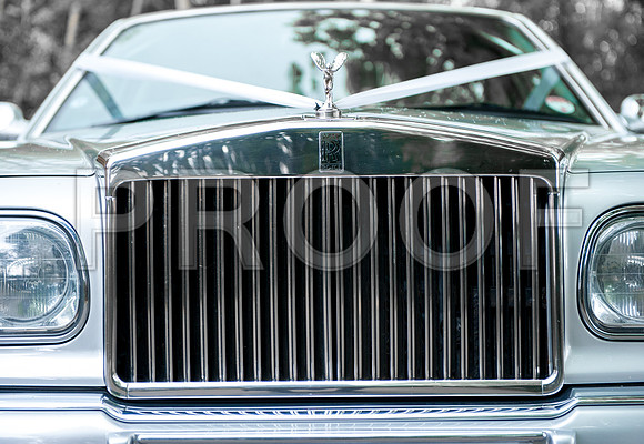 Reynolds wed_205