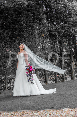 Reynolds wed_245