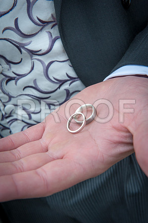 Reynolds wed_079
