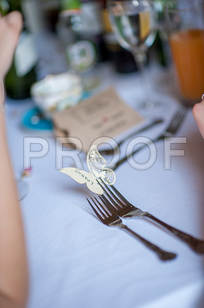 Ring wed_531