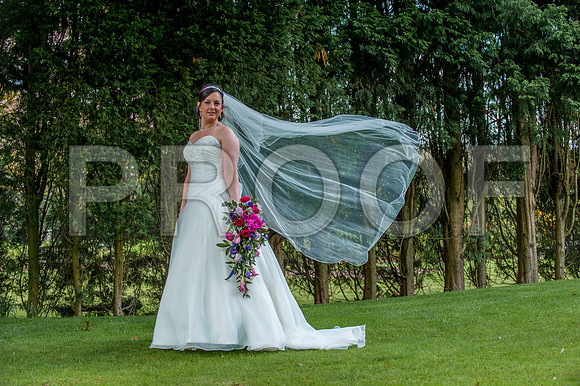 Reynolds wed_247