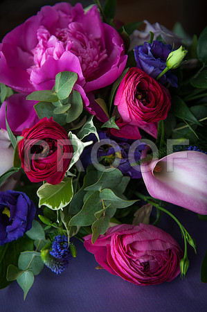 Reynolds wed_047