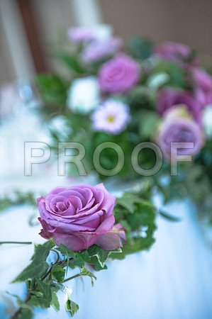 Stygall wed_484
