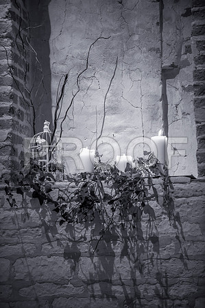 Garwood wed_0897