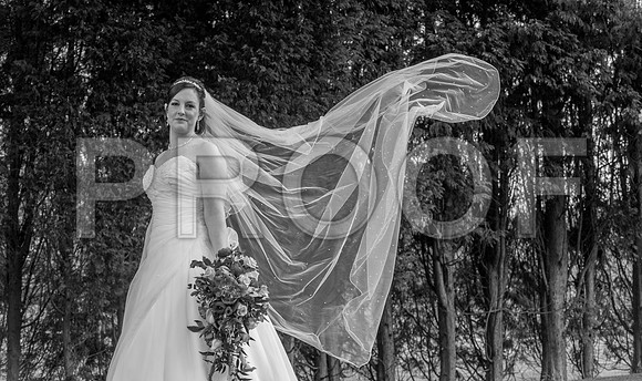 Reynolds wed_242-2