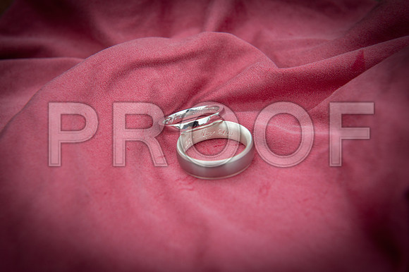 Reynolds wed_075