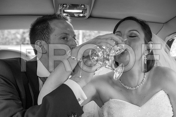 Reynolds wed_196
