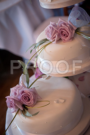 Stygall wed_636