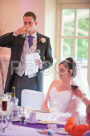Reynolds wed_381