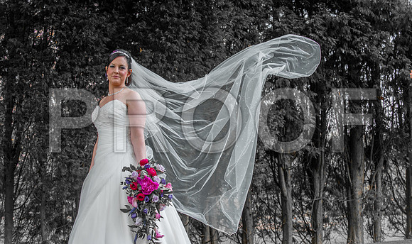 Reynolds wed_242