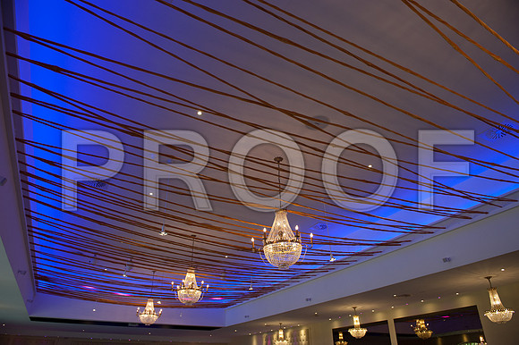 Reynolds wed_340
