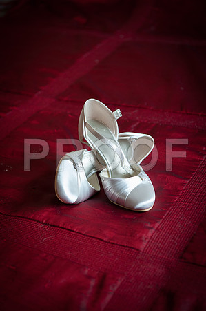 Reynolds wed_022