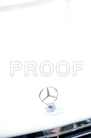 Ring wed_173