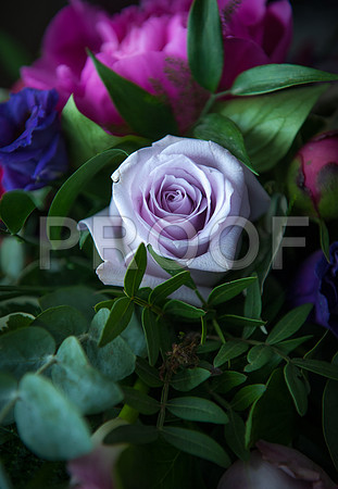 Reynolds wed_044