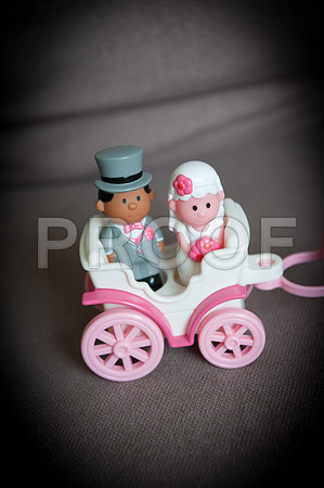 Reynolds wed_037