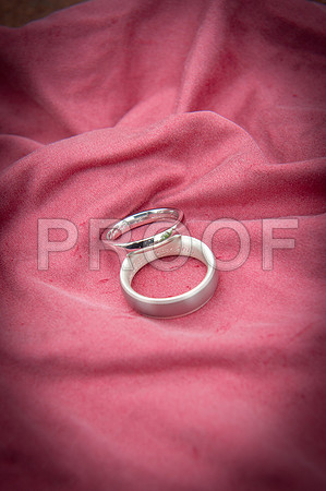 Reynolds wed_074