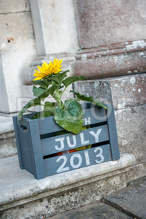 Ring wed_649