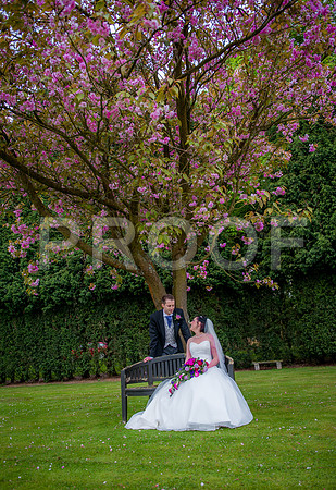 Reynolds wed_301
