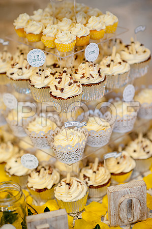 Garwood wed_0850