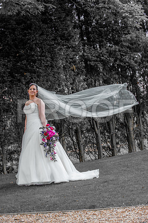 Reynolds wed_244