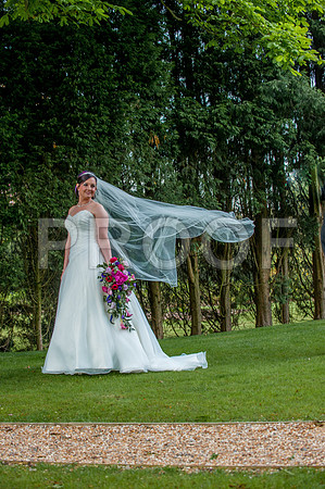 Reynolds wed_248