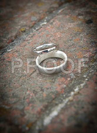 Reynolds wed_076