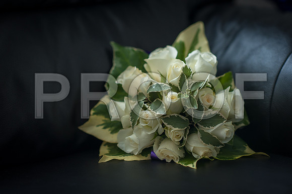 Bailey wed_006