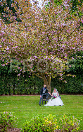 Reynolds wed_297