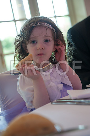 Reynolds wed_343