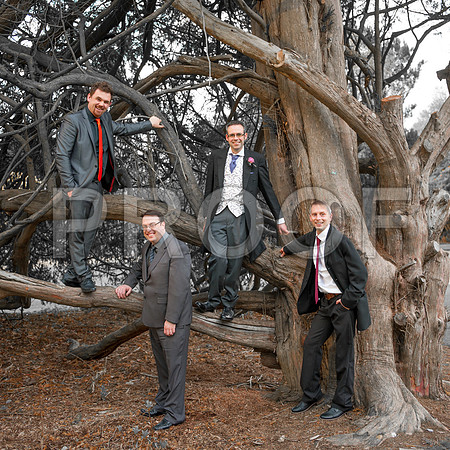 Reynolds wed_434