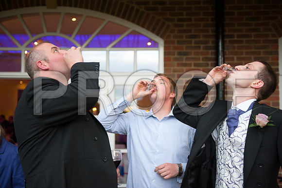 Reynolds wed_441