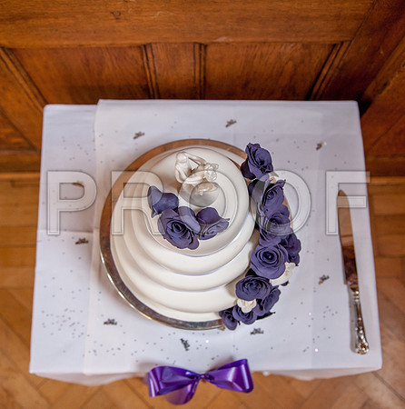 Bailey wed_388