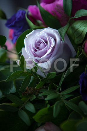 Reynolds wed_045