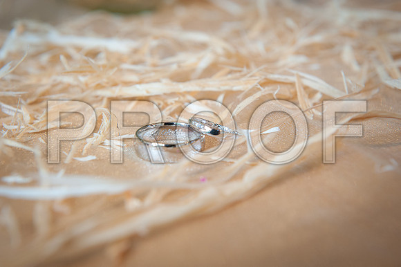 Garwood wed_0216