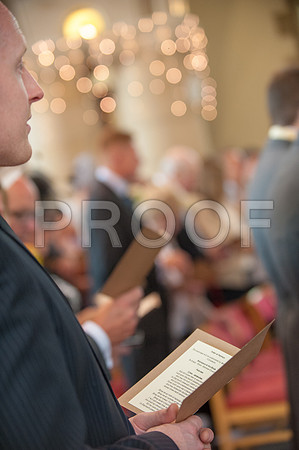 Ring wed_215