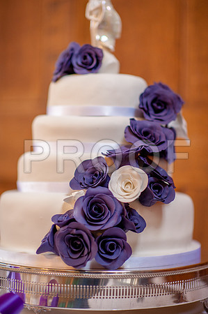 Bailey wed_390