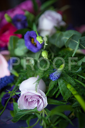 Reynolds wed_046