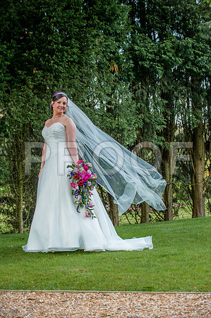 Reynolds wed_250