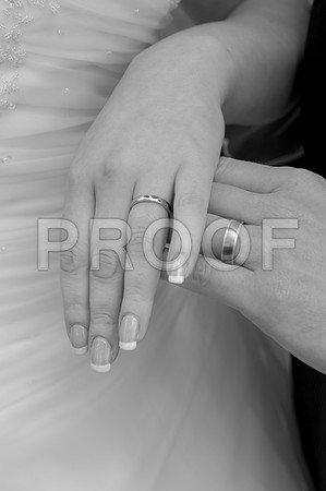 Reynolds wed_181