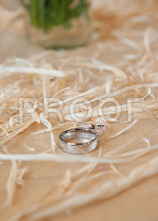 Garwood wed_0218